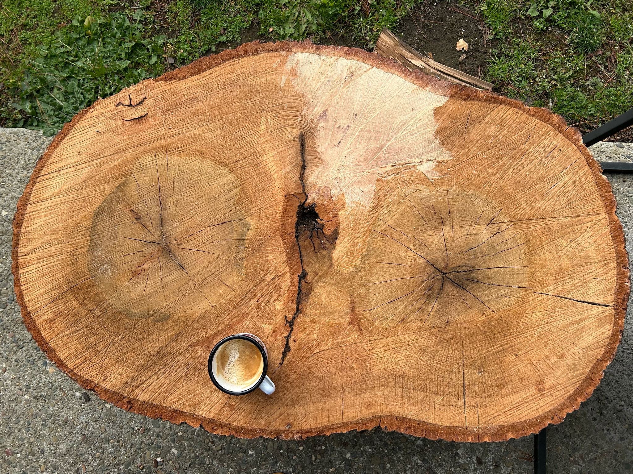 A table made from two merged tree trunks